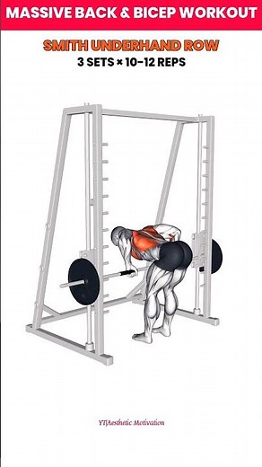 Massive Back And Biceps Workout 🔥 #workout #backandbiceps