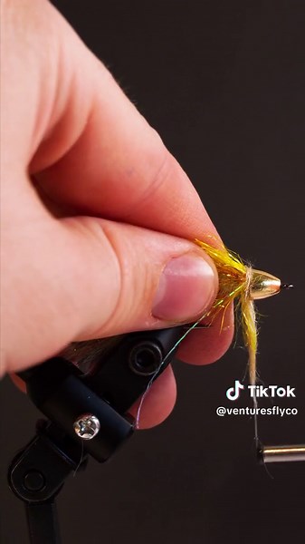 THIS Fly Puts BIG Fish in the Net! — Fly Tying in 60 Seconds Fly fishing with streamers in the fall is a fantastic way to put a big fish in the net. Today, we will walk you through our step-by-step fly tying tutorial, which is great for both experienced and beginner anglers. Learning to tie fly fishing flies is a fun and rewarding activity. So grab your vise, tying tools, materials... and let's get fly tying! #flytying #flytyingjunkie #flytyingturtorial #flytyingaddict #flytyingtutorial #flytyin