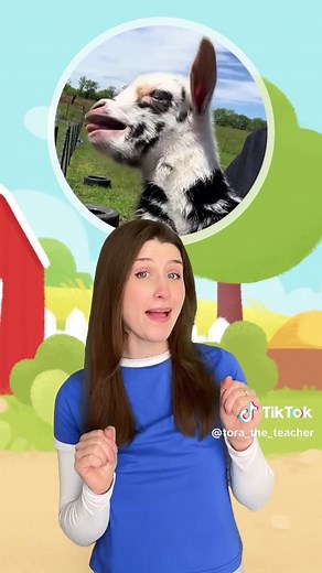 What Sounds Do Farm Animals Make?