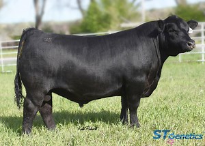 1.7K views · 52 reactions | If your goals include forage adaptability...