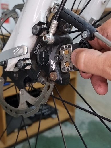 Preventing Brake Squeaking: A DIY Guide for Mountain Bikers