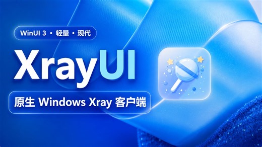 【XrayUI】用 WinUI 打造的原生Windows极致轻量网络助手一键检测AI网络环境