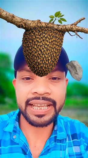 Break the honeydew kernel stop challenge ⏸👍💯 #honey #bee #stopchallenge #viralvideo #fbreels #trending #challenge | Roaming Circle