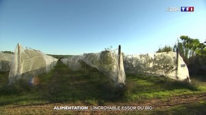 Alimentation : l'incroyable essor du bio