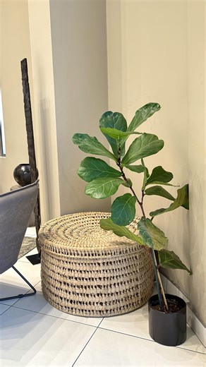 Macingwane on Instagram: "Housewarming gift from @chateaudelrei 😍🥂 which of the new pre mixed cocktails is your favourite ? 🤭"