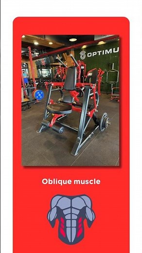 Abs Curl Machine Tutorial for Oblique Muscles | Optimum Fitness