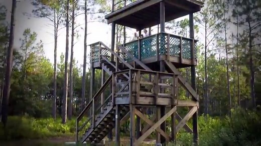 J.P. Hall Bayard Point Conservation Area