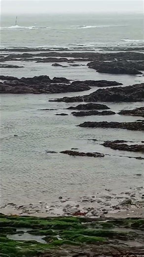 12 March 2026 Looe Island in the winds