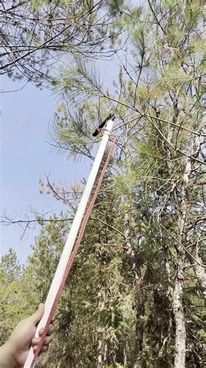 Long - Handled Pruner Tutorial: Trim High Branches Easily!