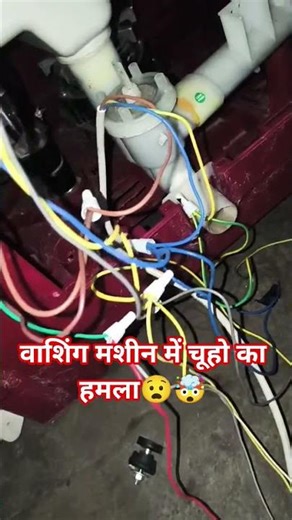 samsung semi automatic washing machine rat cutting problem 🐁😡#tecnician #homeappliance #semi