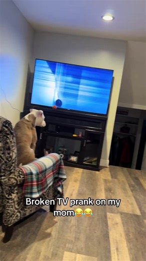 Hilarious TV Prank Compilation