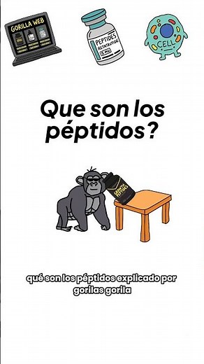 WHAT ARE PEPTIDES? EXPLAINED BY GORILLAS