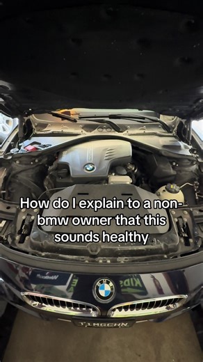 Why is it so loud 😭 #n20 #BMW #fyp #minnesota #f30 | bmw car