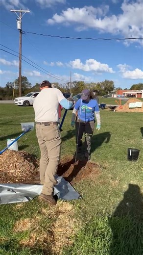 Proper planting and mulching of this Coffee tree after we established the depth to plant it in the previous video. And now you are ready to join us in getting more trees in the ground! | Trees Lexington