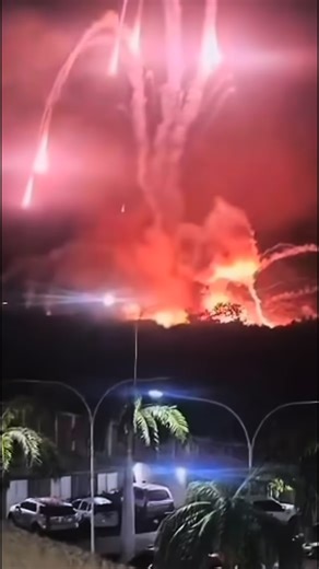 Jimmy Watson on Instagram: "Dog and Pony trick show!"