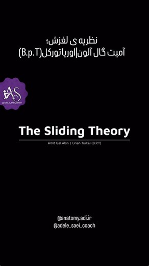 ‎آموزش آناتومی|Anatomy education‎ | ‎Sliding Filament Theoryبه درخواست شما عزیزان اصطلاحات بین الملل و آناتومی هم در آخر پست گفته شده🙏 The sliding filament theory refers to...‎ | Instagram