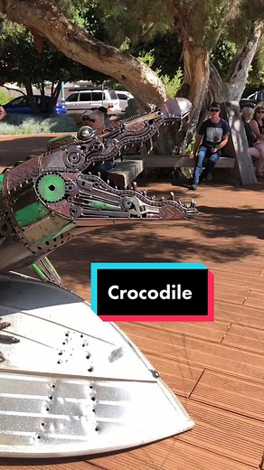 Massive 5m Saltwater Crocodile Metal Sculpture in Grass Valley, Western Australia