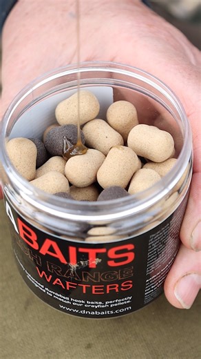 60K views · 516 reactions |  QUICK-BITE TACTIC: CRAYFISH WAFTERS...