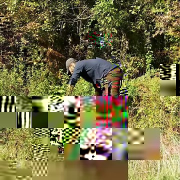 319K views · 10K reactions | I'm building a forest house using only hand tools. I use hand tools ax, saw, knife, wire, nippers and sickle-shaped knife. | Wargeh Bushcraft | Facebook