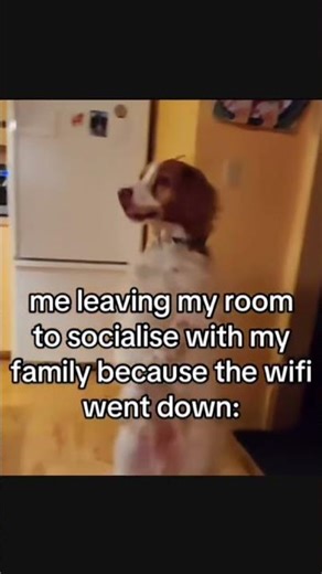 POV:the WiFi went off