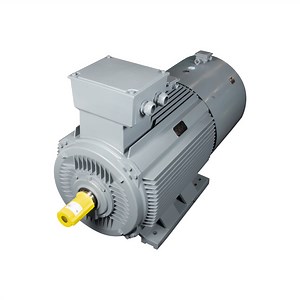 [Hot Item] Tcyp315L2-1000/132kw Frequency Variable Reluctance AC Synchronous Motor