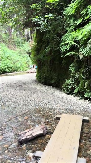 Fern Canyon, Redwood national park. #waterfall #hiking #redwoodnationalpark #jurassicpark