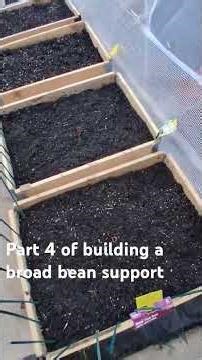 #gardening part 4 of building a broad bean support