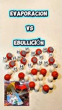 EBULLICIÓN VS EVAPORACION #quimica #experimento #ciencia #laboratorio #experiment #física
