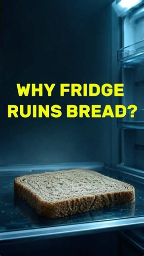 Why bread gets stale faster in the fridge #weirdfacts #foodfacts #sciencefacts #bread #kitchenfacts