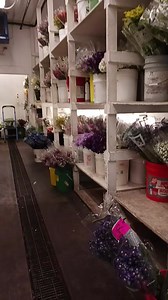 55 reactions · 6 comments | This is the flower cooler - it's chilly in there but so worth it! | Secret Garden Decatur | Facebook