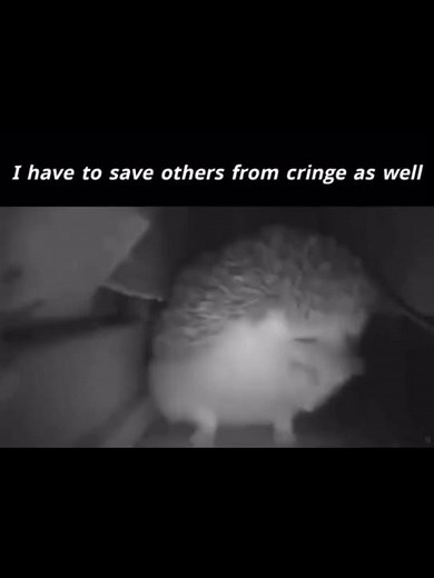 Be more careful out there fellow scroller #memes #funny