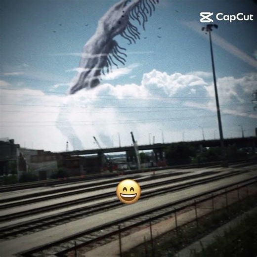 the bird watcher 😢 #capcutedit #sad trend fake smile# song Game over super Mario slowed#