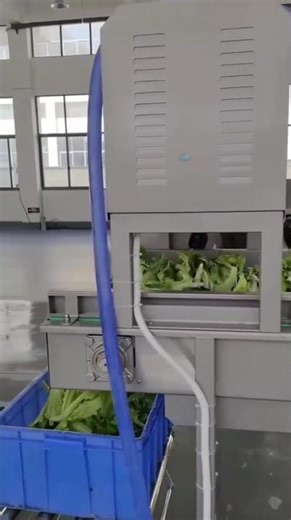 mesin cuci sayur #machine #machinerychannel #machinery #food #mesin #mesinproduksi #outechmachinery