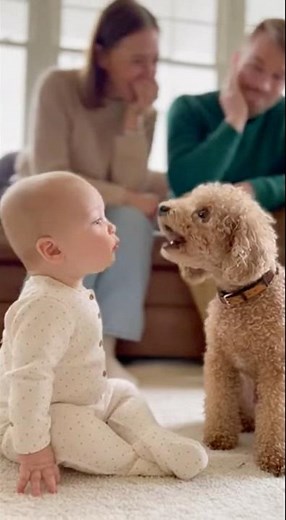 A baby imitates a dog's bark and the dog barks back 👶🐶 #baby #dog #cute #funny #love #shorts #sho...