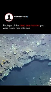 Footage of the deep sea monster you were never meant to see | The Rabbit Hole