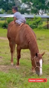 3.8M views · 10K reactions | Kahuta news network on Reels | Facebook