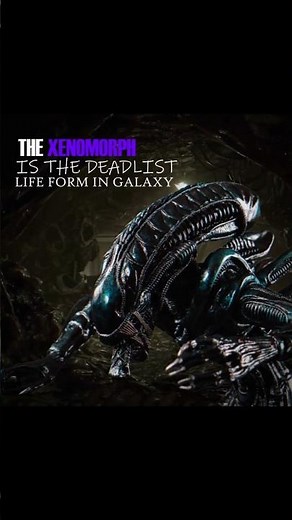 The Most Terrifying Monster Ever Created: The Xenomorph
