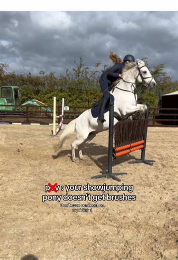 Showjumping Challenges with My Pony