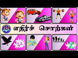 எதிர்ச்சொற்கள் | Learn Opposite Words in Tamil for Kids | ‪@KIDS123TVLEARN‬ |