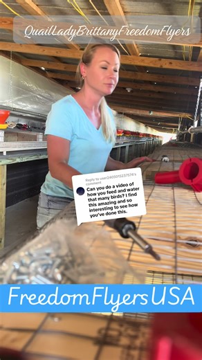 Replying to @user2405015237574 I pulled this one out of the drafts but hey it looks educational and maybe helpful to some. Here’s how we installed our feed and water lines in our 200 ft breeder house. #diy #setup #birdsoftiktok #quail #poultry