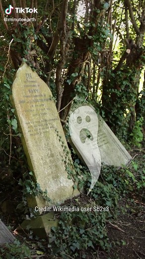 Understanding Soil Creep: Impact on the Landscape