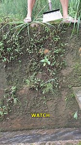 Quick Nature Transformation. #NatureMagic #Transformation #QuickNature #SereneViews #ShortAndSweet | Doraya Jennings