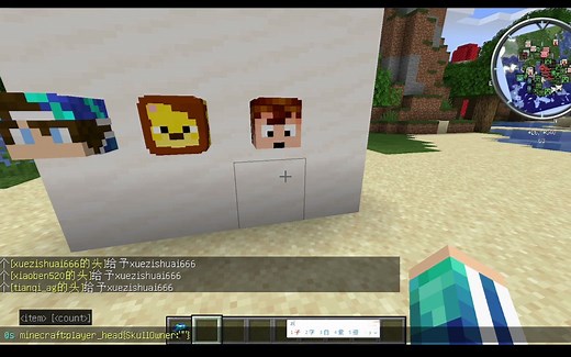 一个指令教你获得我的世界玩家的头颅