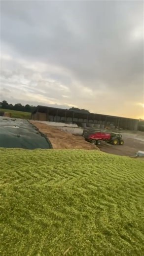 #agriculture #farmingsimulator #farming #fs19