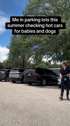 137K views · 7.1K reactions | Don’t test me. | Sarah Parsons Licensed Vet Tech | Facebook