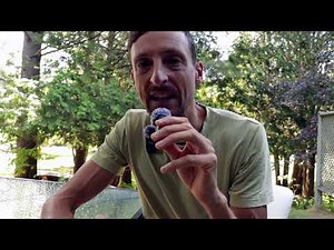 Neewer CM28 Wireless Microphone Honest Review And Functions [LINK IN DESCRIPTION]