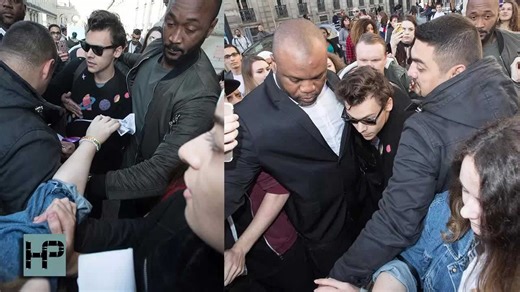 Harry Styles Is Being Heavily Protected After Crotch Grab Incident