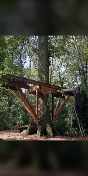 Building A Tree House: Part 2