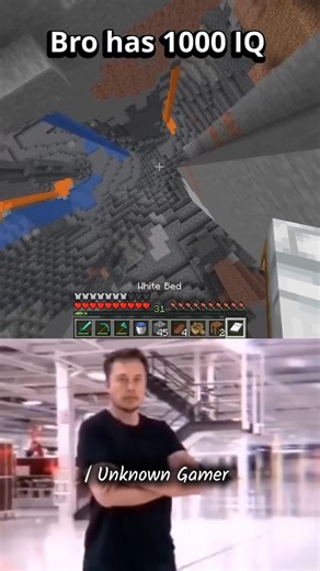 1000 IQ #minecraft #gaming