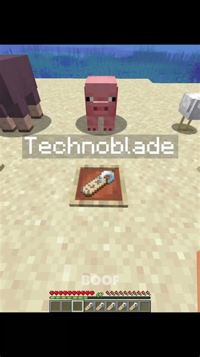 Minecraft SECRET Java Nametags Moment